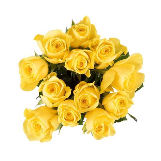 Goldfinch yellow roses