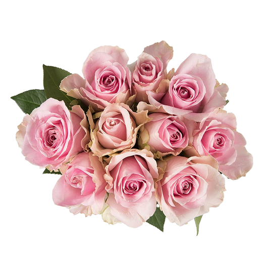 Royal Athena pastel pink roses